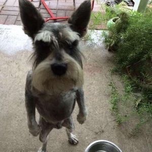 Meet your Posher, Zoe